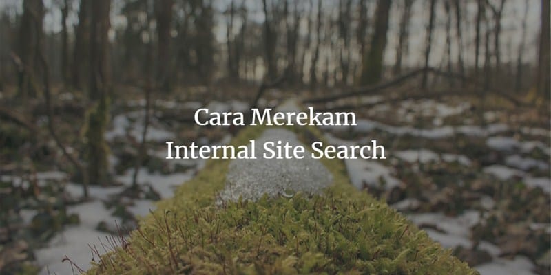 cara merekam internal site search