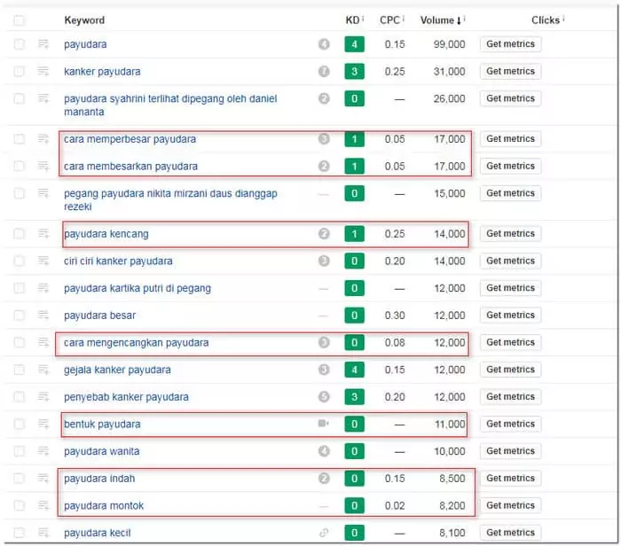 keyword micro site website