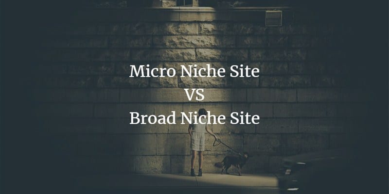 micro niche sites vs broad niche