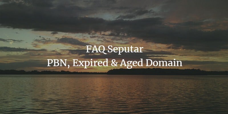 pbn expired aged domain