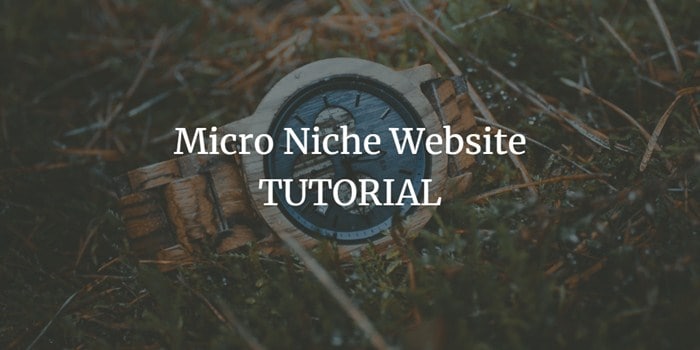 tutorial micro niche website 1