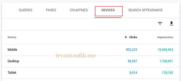 detail visitor website search console