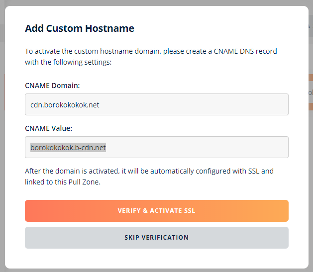 custom hostname bunnycdn 2